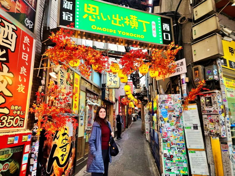 Tokyo: Private & Customizable Tour - All-in-One Experience - A Tokyo tour that starts with a conversation