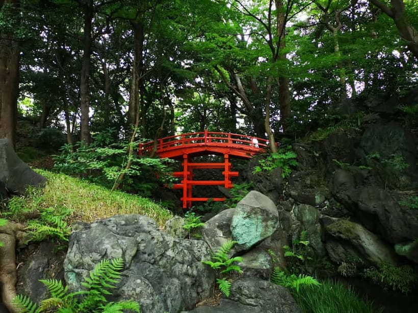 Tokyo: Private & Customizable Tour - All-in-One Experience - Price, inclusions, and practical value