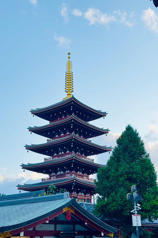 Tokyo: Private & Customizable Tour W/English Speaking Guide - What a Private Tokyo Day Really Gives You