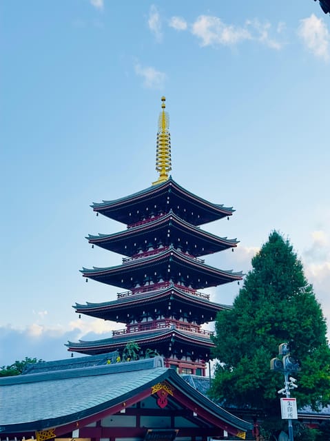 Tokyo: Private & Customizable Tour W/English Speaking Guide - Meiji Shrine Brings a Forested Pause