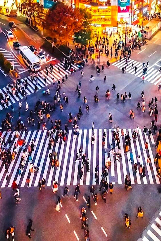 Tokyo: Private Customizable Tour with a Local Guide - A Private Way to Make Sense of Tokyo