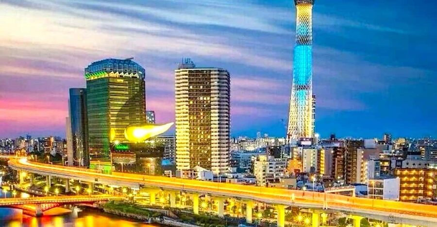 Tokyo: Private Customizable Tour with a Local Guide - Akihabara: Pick This If Pop Culture Is Your Priority