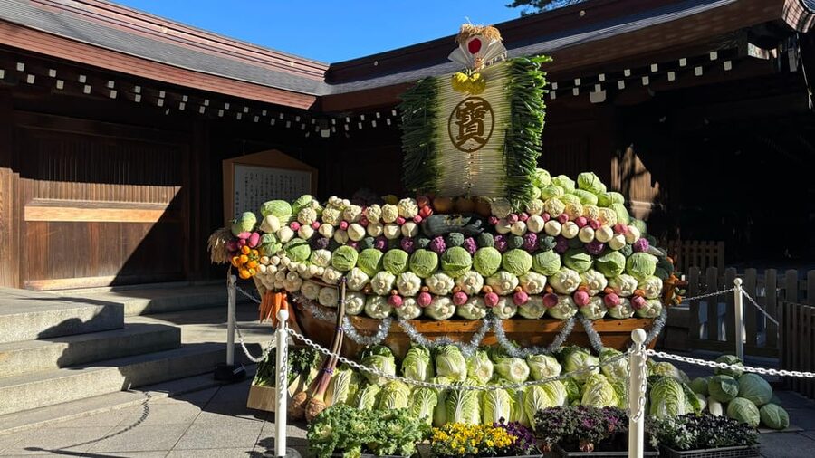 Tokyo: Private Customizable Tour with a Local Guide - How the Guide Changes the Day