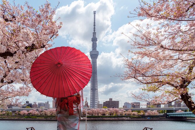 Tokyo Private Customizable Tour with English Speaking Chauffeur - Why a private car can make Tokyo easier