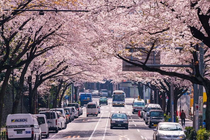 Tokyo Private Customizable Tour with English Speaking Chauffeur - Tsukiji Outer Market for lunch and a change of pace