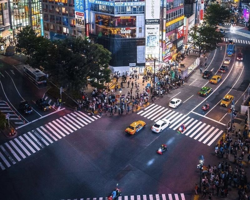 Tokyo: Private Customizable Tour with Transfer - What this Tokyo van tour really offers