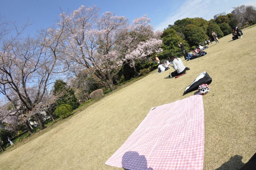 Tokyo: Private Cycling Tour with cute E-bike - What the $318 group price buys you