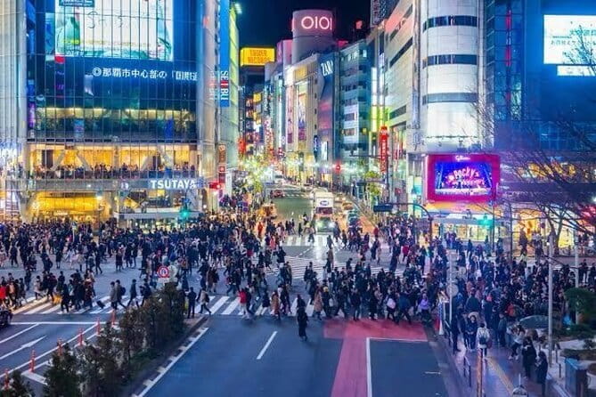 Tokyo Private Day Tour by Car with English speaking Driver - Key points for planning your Tokyo day