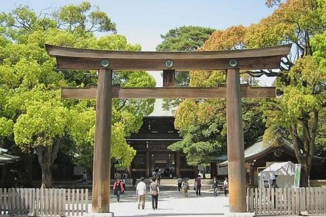 Tokyo Private Day Tour by Car with English speaking Driver - Why a private car helps in sprawling Tokyo