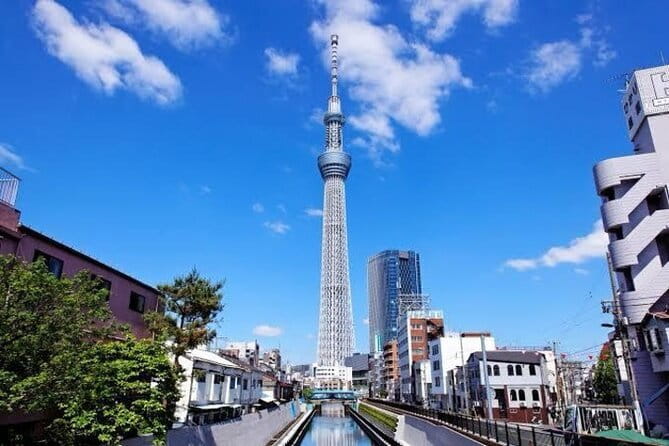 Tokyo Private Day Tour by Car with English speaking Driver - Tokyo Skytree and the city from above
