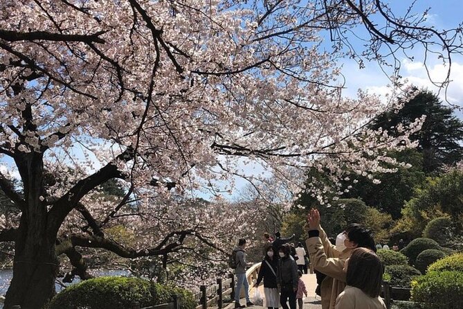 Tokyo Private Day Tour by Car with English speaking Driver Guide - Tokyo Tower: the classic red landmark