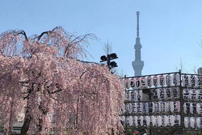 Tokyo Private Day Tour by Car with English speaking Driver Guide - Tsukiji: food, stalls, and a changing market district