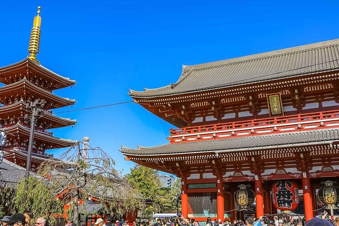 Tokyo Private Day Trip - Enjoy Your First-Time Visit to Tokyo! - The private format and guide quality
