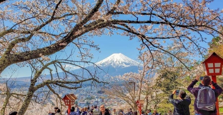 Tokyo: Private Day Trip to Mount Fuji and Hakone - What this Fuji and Hakone day is really like