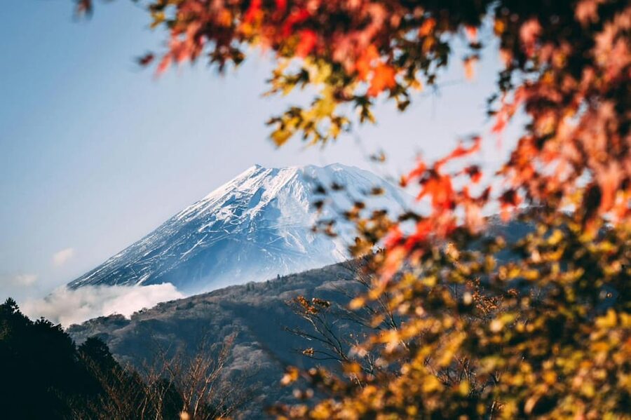 Tokyo: Private Day Trip to Mount Fuji and Hakone - Oshino Hakkai and the quieter side of Fuji