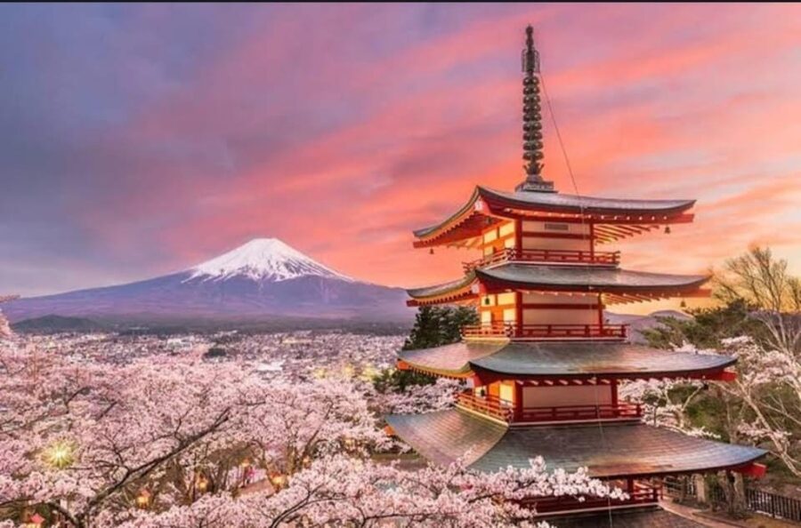 Tokyo: Private Day Trip to Mount Fuji and Hakone - Fuji 5th Station, the highest road stop