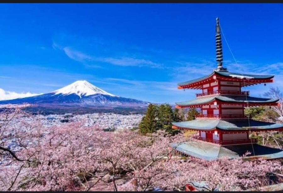 Tokyo: Private Day Trip to Mount Fuji and Hakone - Narusawa Ice Cave and Gotemba shopping