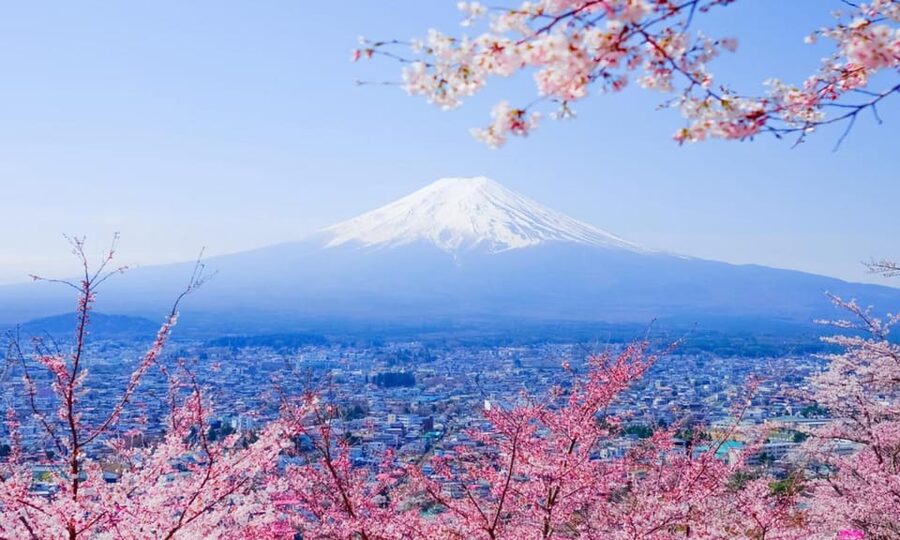 Tokyo: Private Day Trip to Mount Fuji and Hakone - The private vehicle and the value of $100