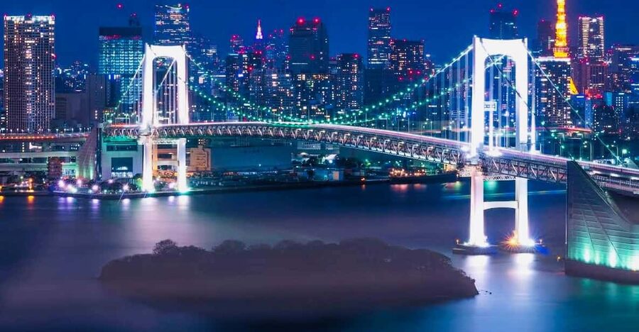 Tokyo Private Day Trip With English Speaking Driver - Why a private car helps in a city this large