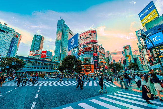 Tokyo Private Full-Day Tour by Car or Van - Tsukiji Outer Market: plan lunch, not just a photo stop