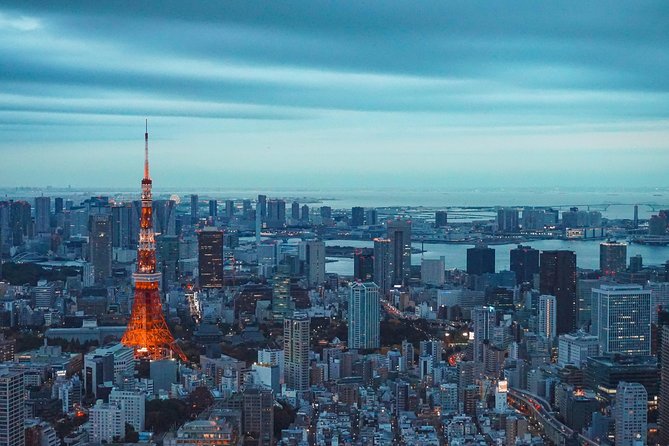 Tokyo Private Full-Day Tour by Car or Van - Meiji Jingu: a wooded pause near Harajuku