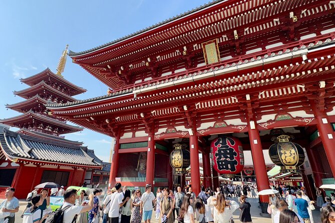 Tokyo Private Full-Day Tour by Luxury Alphard with Guide - One private vehicle, many sides of Tokyo