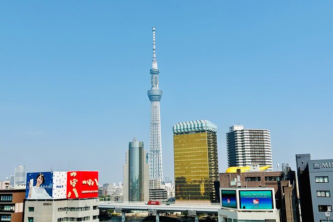 Tokyo Private Full-Day Tour by Luxury Alphard with Guide - Tsukiji for food and a break from sightseeing