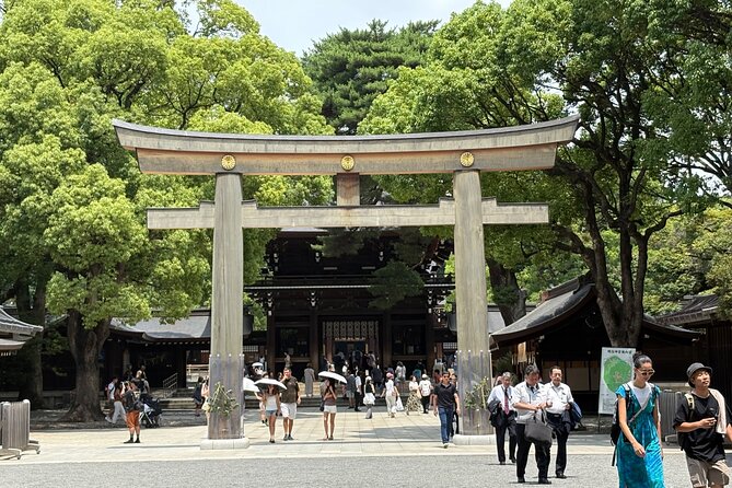 Tokyo Private Full-Day Tour by Luxury Alphard with Guide - James and the value of a private guide