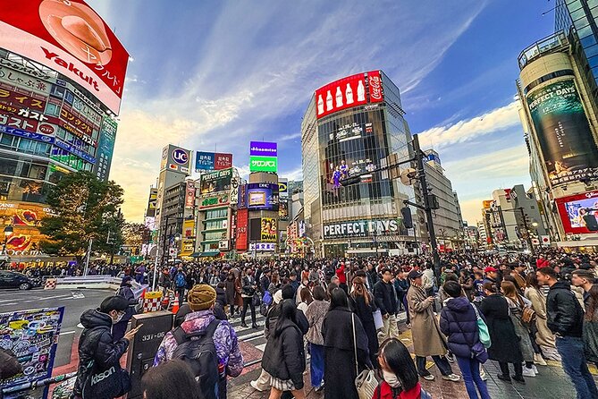 Tokyo Private Guided 1/2-Day Walking Subway Tour English guide - Shibuya Crossing in a short, focused visit
