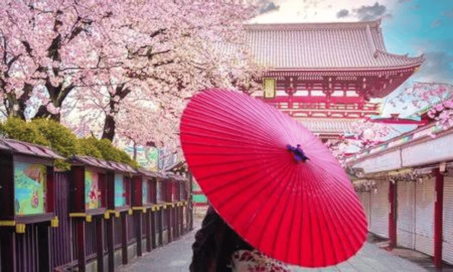 Tokyo: Private Guided Tour with Hotel Pickup and Drop-off - Tokyo Skytree and the cost of going up