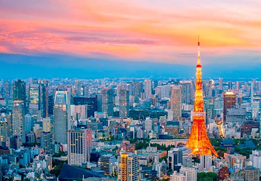 Tokyo: Private Guided Tour with Hotel Pickup and Drop-off - Meiji Shrine, Harajuku, and a calmer side of Tokyo