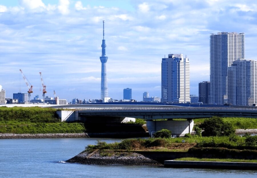 Tokyo: Private Guided Tour with Hotel Pickup and Drop-off - Odaiba, Ginza, and optional city interests