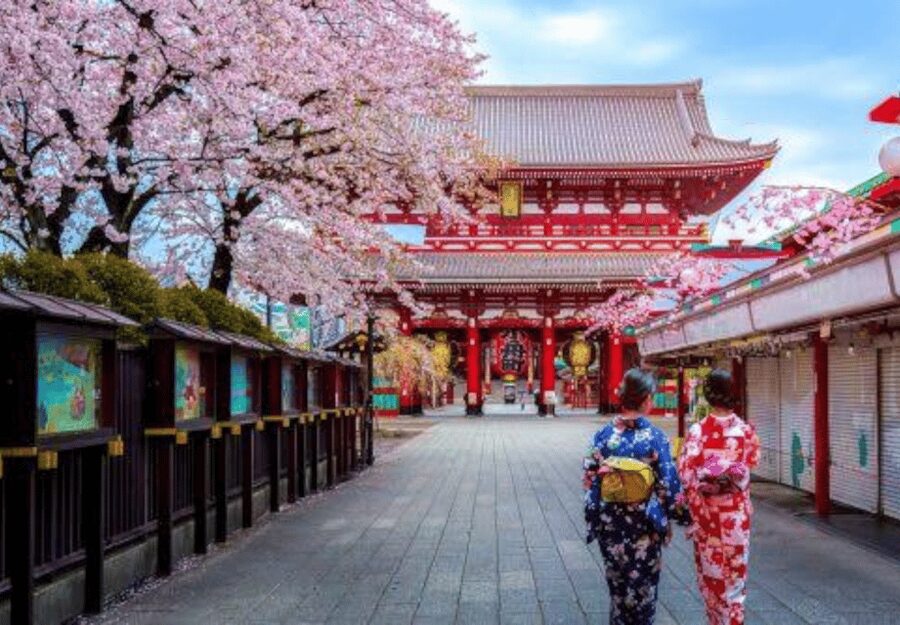 Tokyo: Private Guided Tour with Hotel Pickup and Drop-off - Timing, traffic, and the pace of the day