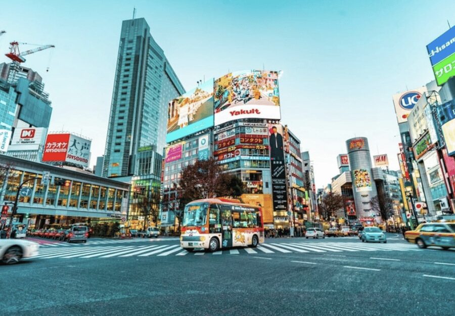 Tokyo: Private Guided Tour with Hotel Pickup and Drop-off - Senso-ji and the old streets of Asakusa