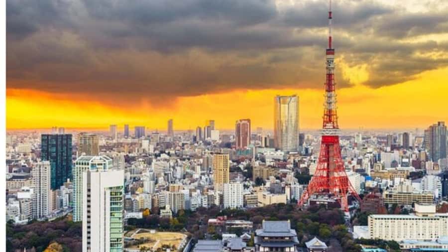 Tokyo: Private Instagramable Customised Tokyo City Day Tour - Key points to know before booking