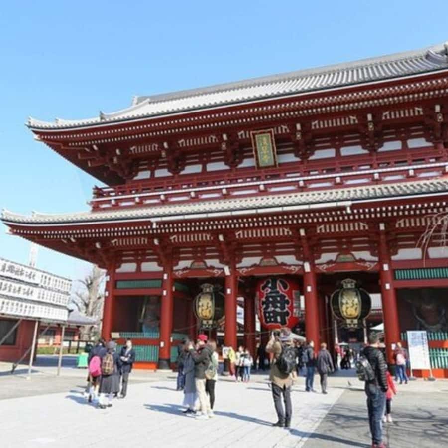 Tokyo: Private Instagramable Customised Tokyo City Day Tour - Why a private car helps in Tokyo