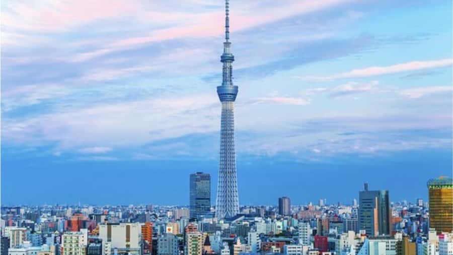 Tokyo: Private Instagramable Customised Tokyo City Day Tour - Meiji Shrine and Harajuku in one district
