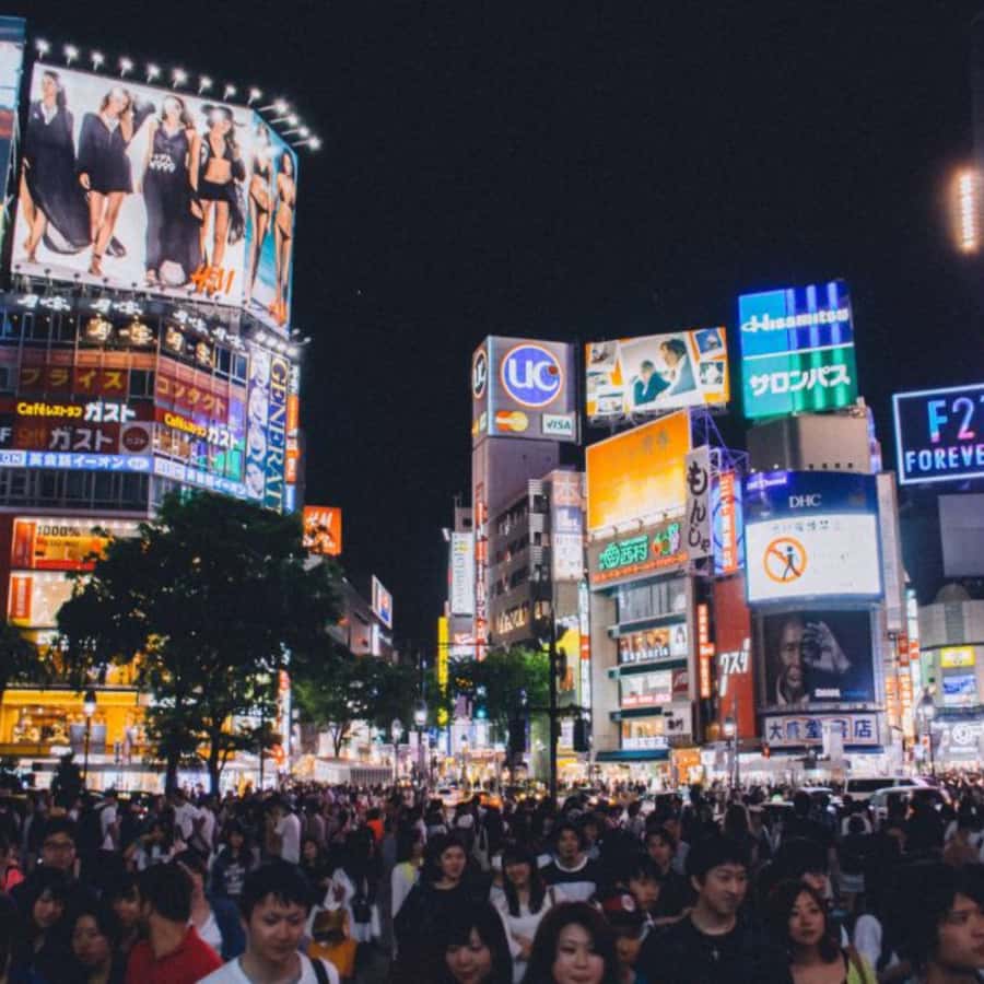 Tokyo: Private Instagramable Customised Tokyo City Day Tour - The Imperial Palace and its garden