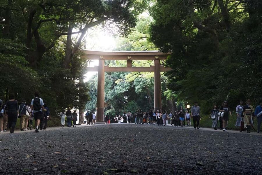 Tokyo: Private Meiji Shrine & Harajuku Highlights Tour - Should you book it?