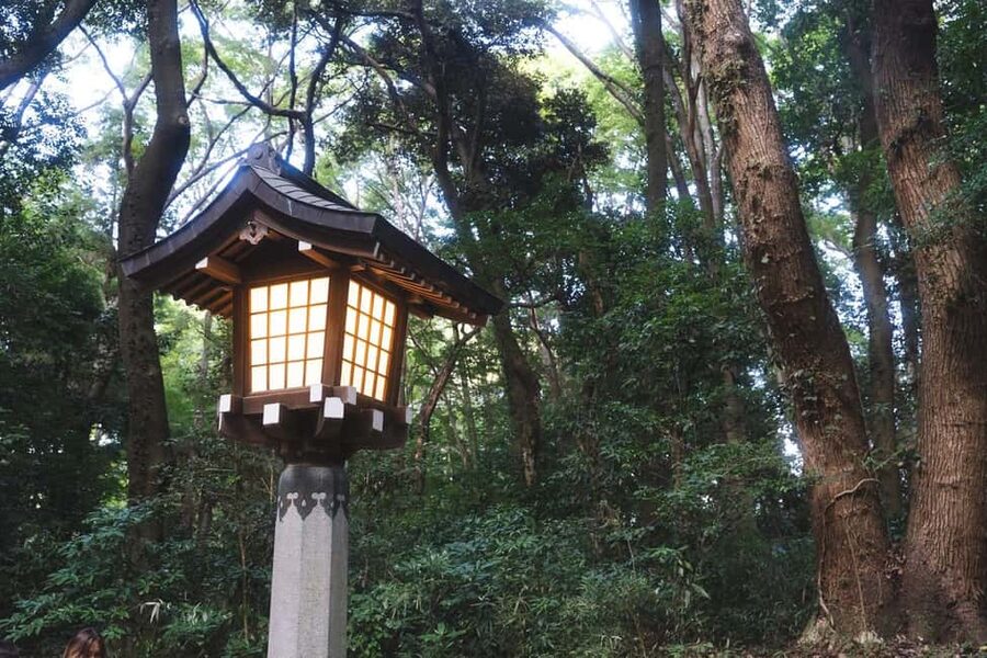 Tokyo: Private Meiji Shrine & Harajuku Highlights Tour - Timing, meeting point, and walking advice