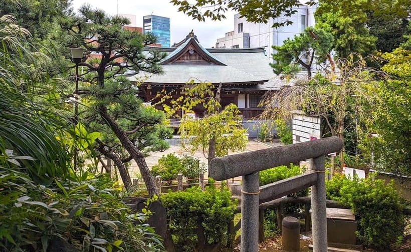 Tokyo: Private Morning Run with Sento Bath Experience - Key points at a glance