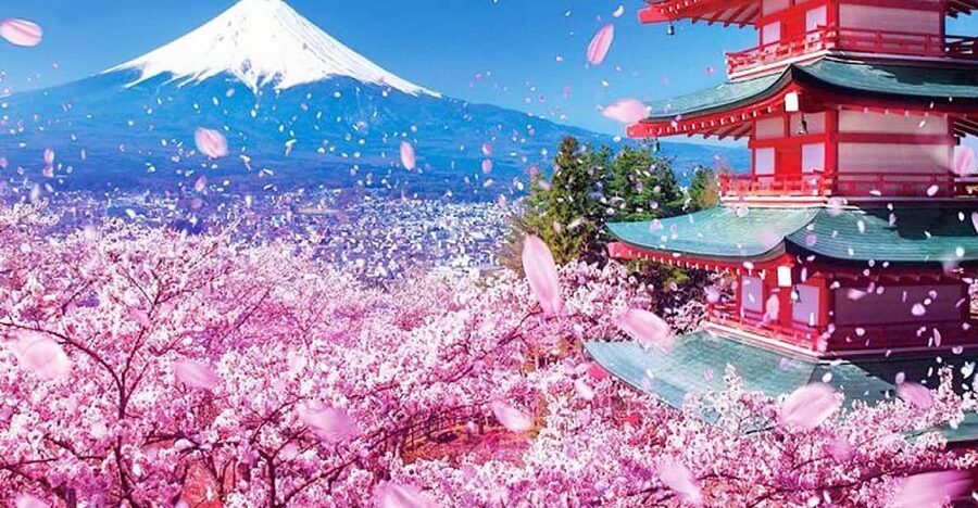 Tokyo: Private Mount Fuji and Hakone Day Trip with Guide - Guides make or break the day