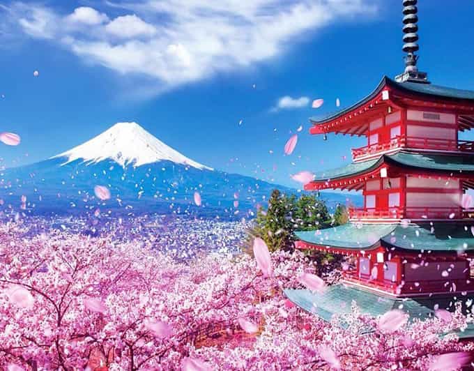 Tokyo: Private Mount Fuji and Hakone Day Trip with Guide - A quiet pause at Fuji Sengen Shrine
