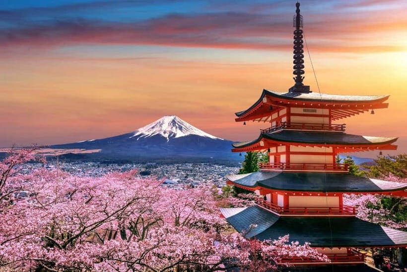 Tokyo: Private Mount Fuji Day Trip with Private Guide - Key points to know before you book