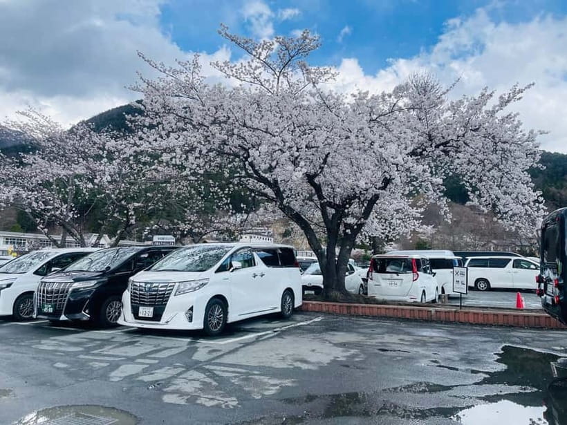 Tokyo: Private Mount Fuji Day Trip with Private Guide - Who should book this Mount Fuji day trip?