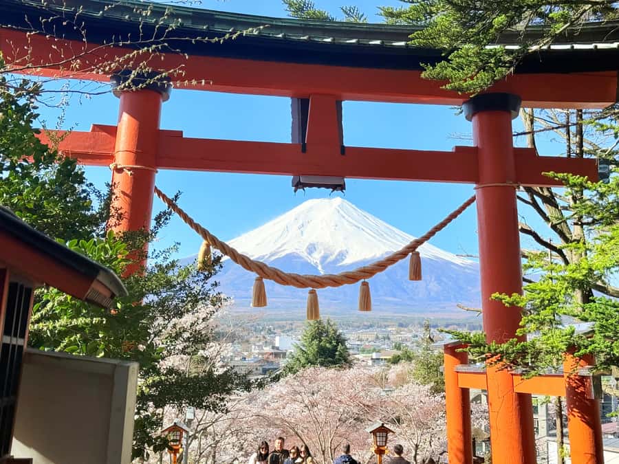 Tokyo: Private Mount Fuji Tour with Pickup and Drop-Off - Why a private Mount Fuji day makes sense