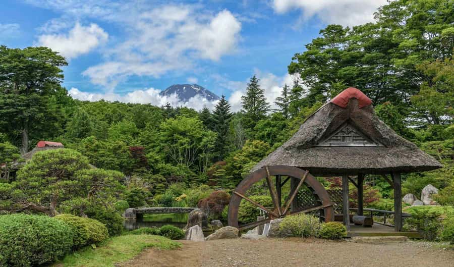 Tokyo: Private Mount Fuji Tour with Pickup and Drop-Off - Guides who shape the experience