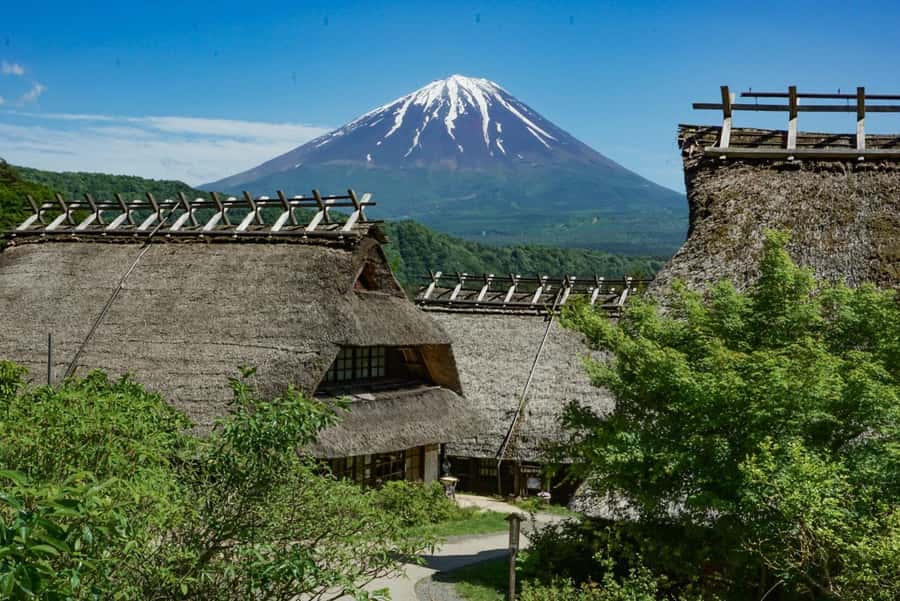 Tokyo: Private Mount Fuji Tour with Pickup and Drop-Off - Timing, comfort, and practical limits