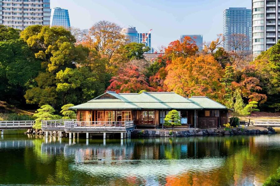 Tokyo: Private Night Tour with English-Speaking Driver - Dinner in Nishiazabu, with room for dietary needs