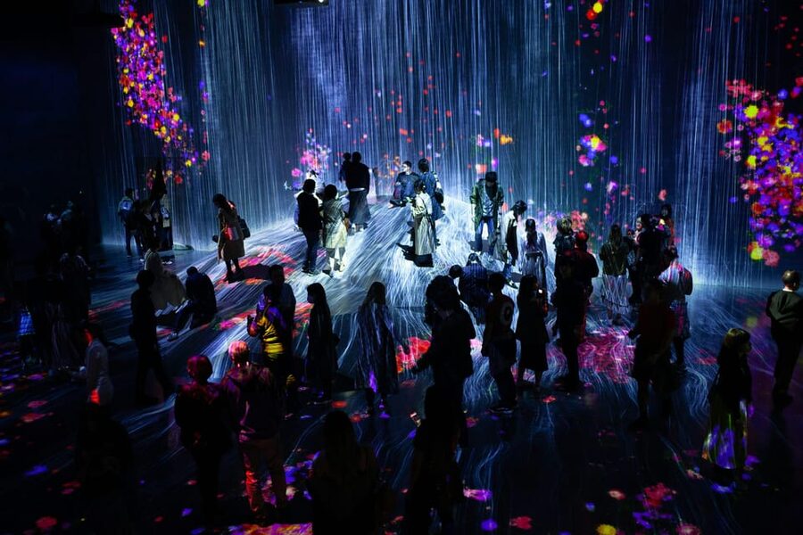Tokyo: Private Night Tour with English-Speaking Driver - Omotesando and Shibuya Crossing